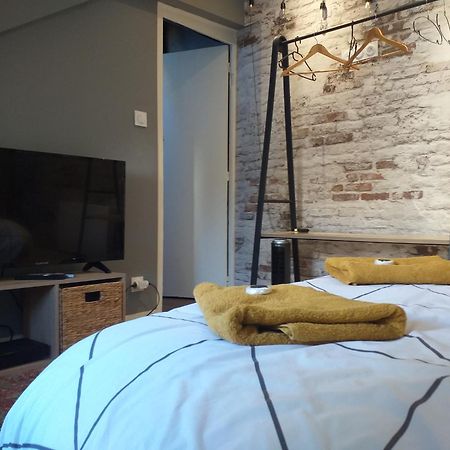 Les Volets Bleus - Refaits à neuf, deux appartements et un studio, Jardin Bourges Chambre photo