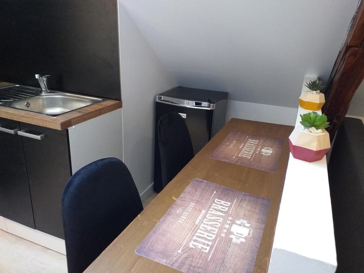 Les Volets Bleus - Refaits à neuf, deux appartements et un studio, Jardin Bourges Extérieur photo
