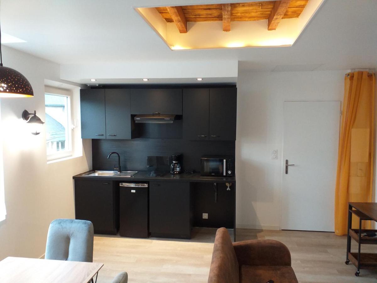 Les Volets Bleus - Refaits à neuf, deux appartements et un studio, Jardin Bourges Extérieur photo