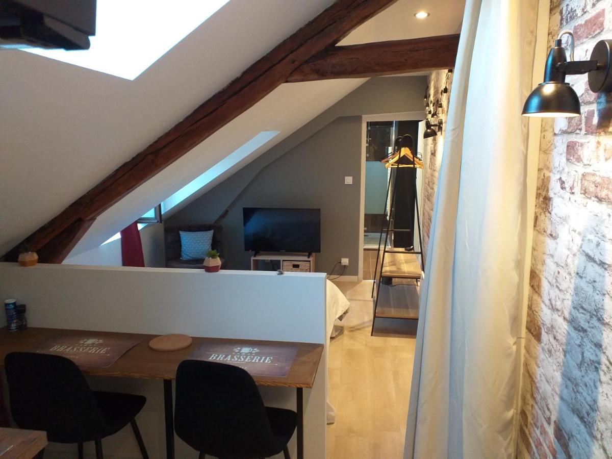 Les Volets Bleus - Refaits à neuf, deux appartements et un studio, Jardin Bourges Extérieur photo