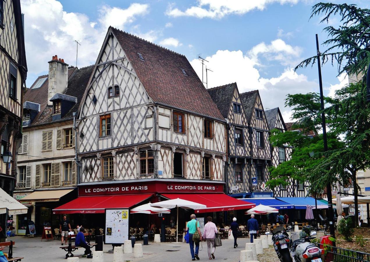 Les Volets Bleus - Refaits à neuf, deux appartements et un studio, Jardin Bourges Extérieur photo