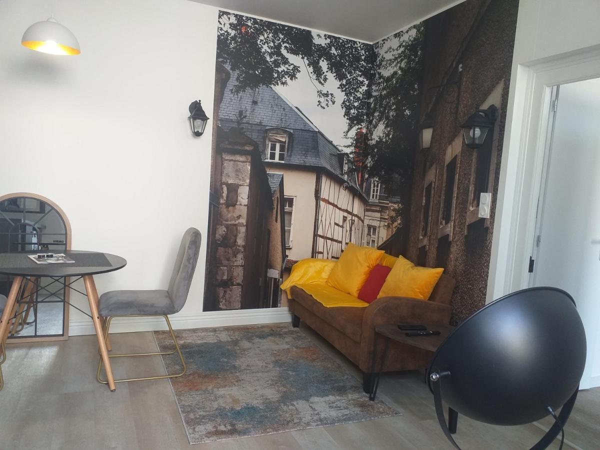 Les Volets Bleus - Refaits à neuf, deux appartements et un studio, Jardin Bourges Extérieur photo