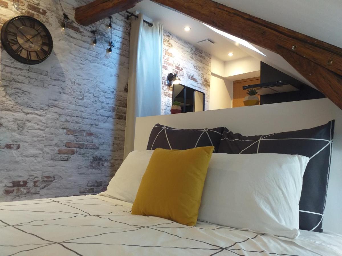 Les Volets Bleus - Refaits à neuf, deux appartements et un studio, Jardin Bourges Extérieur photo