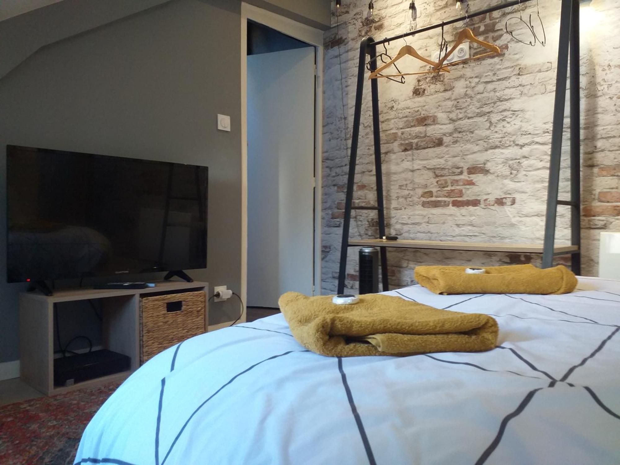 Les Volets Bleus - Refaits à neuf, deux appartements et un studio, Jardin Bourges Chambre photo