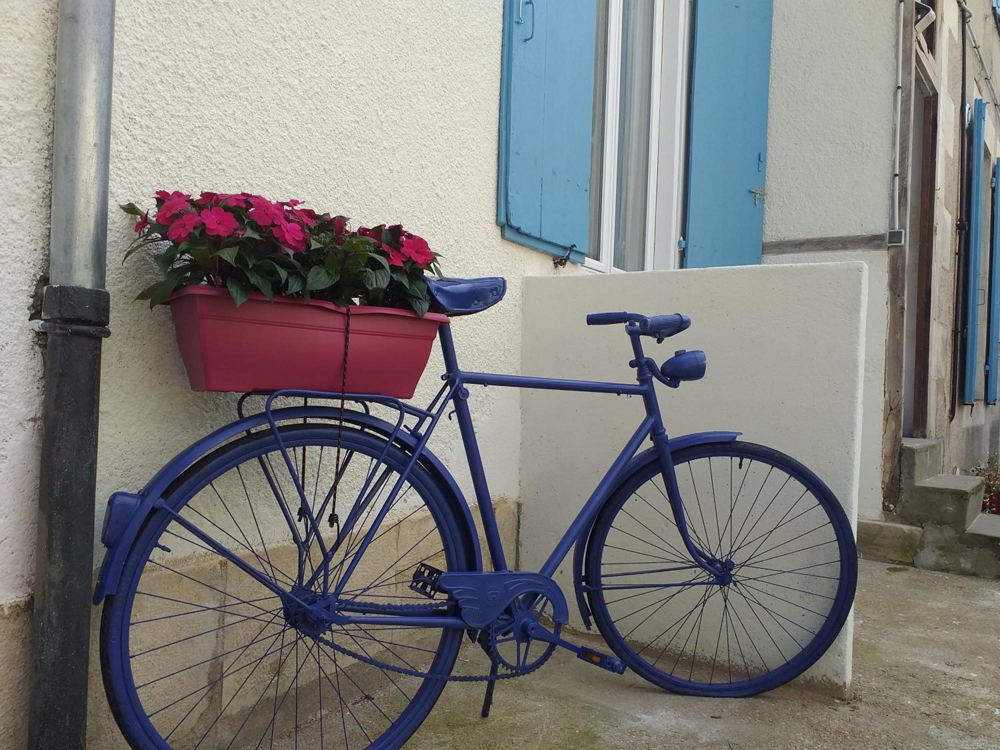 Les Volets Bleus - Refaits à neuf, deux appartements et un studio, Jardin Bourges Chambre photo