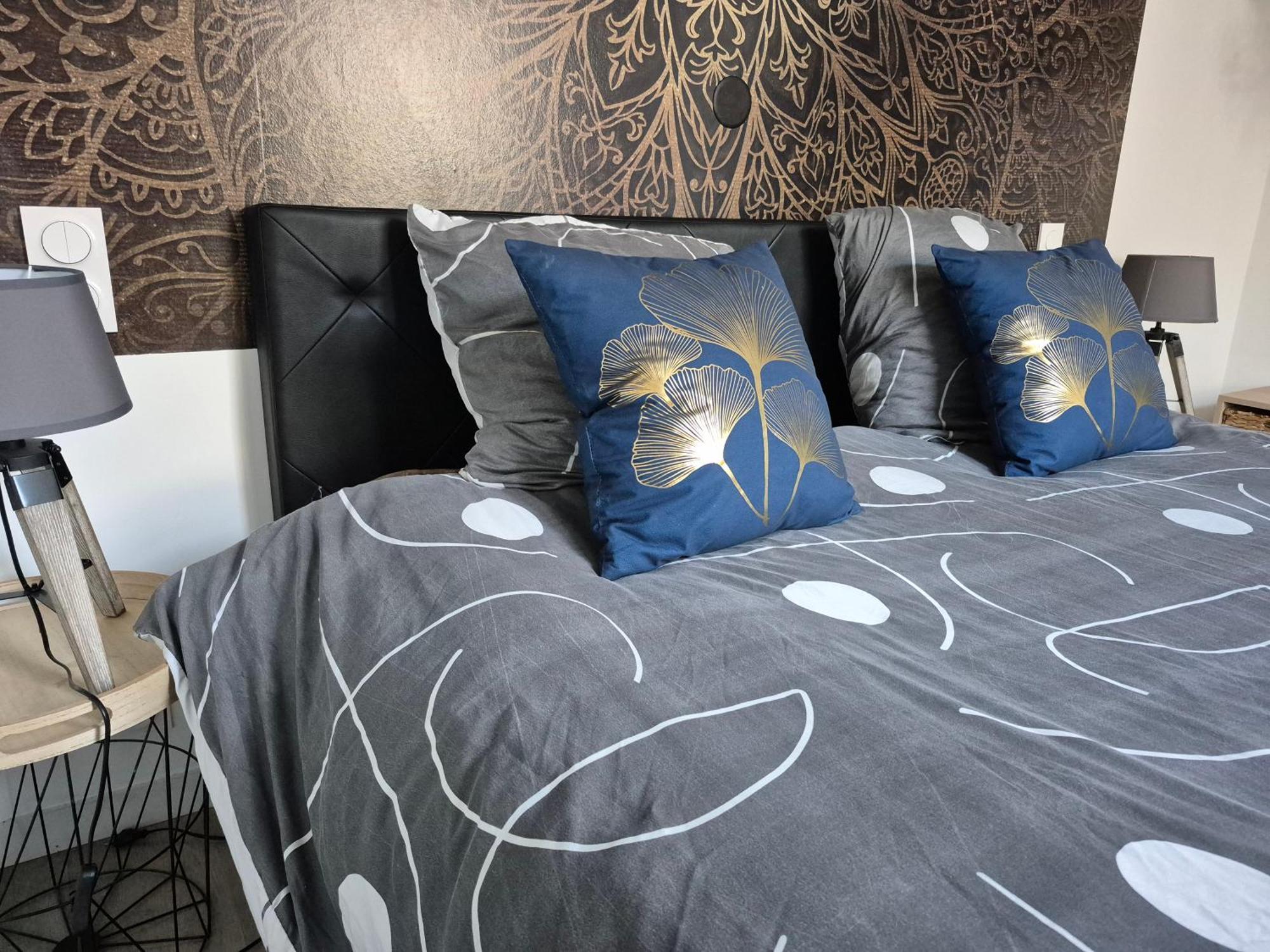 Les Volets Bleus - Refaits à neuf, deux appartements et un studio, Jardin Bourges Extérieur photo