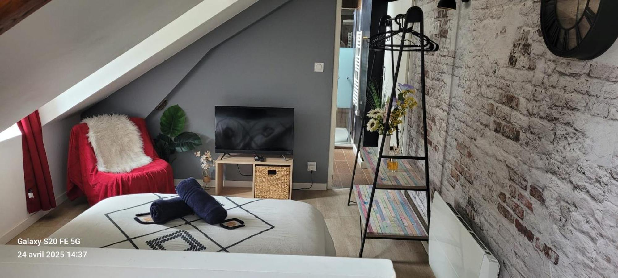 Les Volets Bleus - Refaits à neuf, deux appartements et un studio, Jardin Bourges Extérieur photo