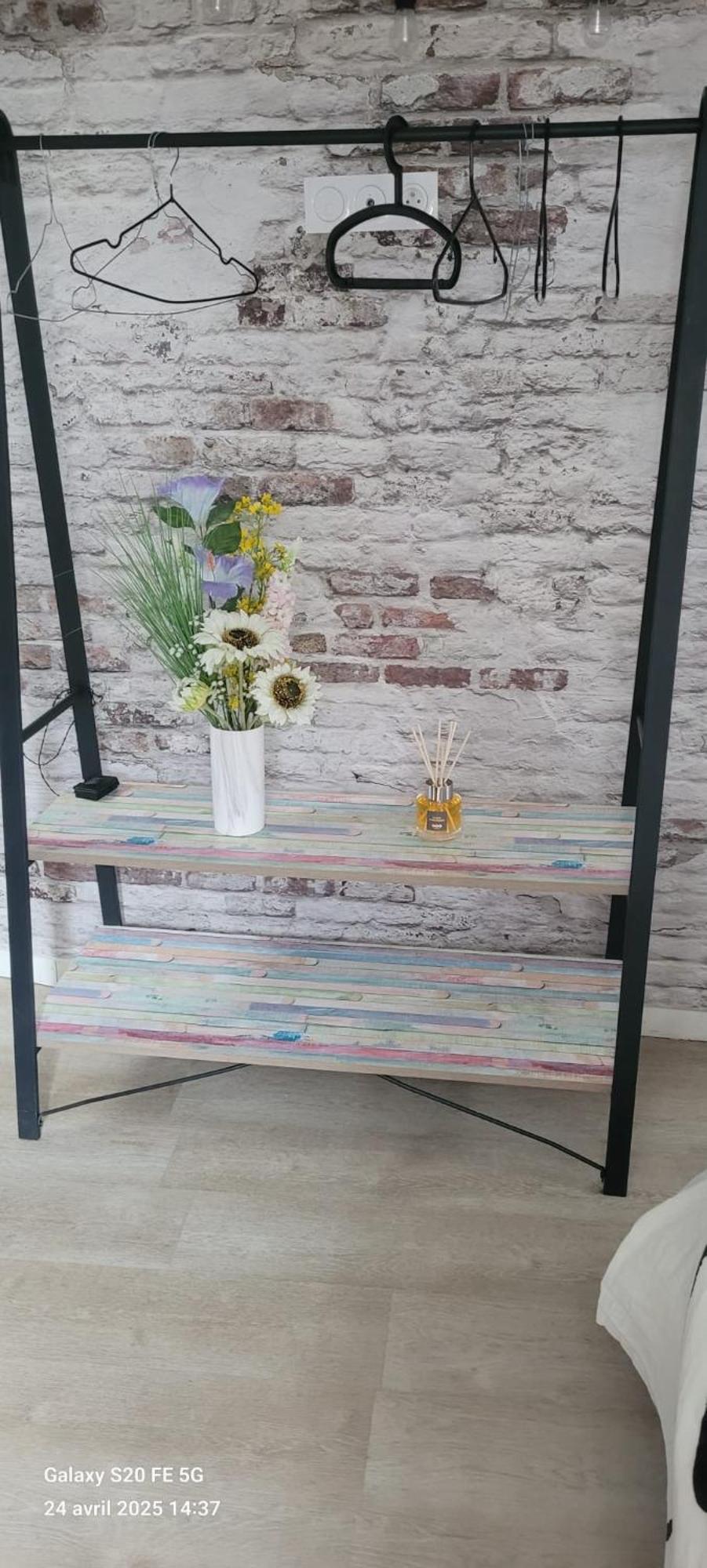 Les Volets Bleus - Refaits à neuf, deux appartements et un studio, Jardin Bourges Extérieur photo