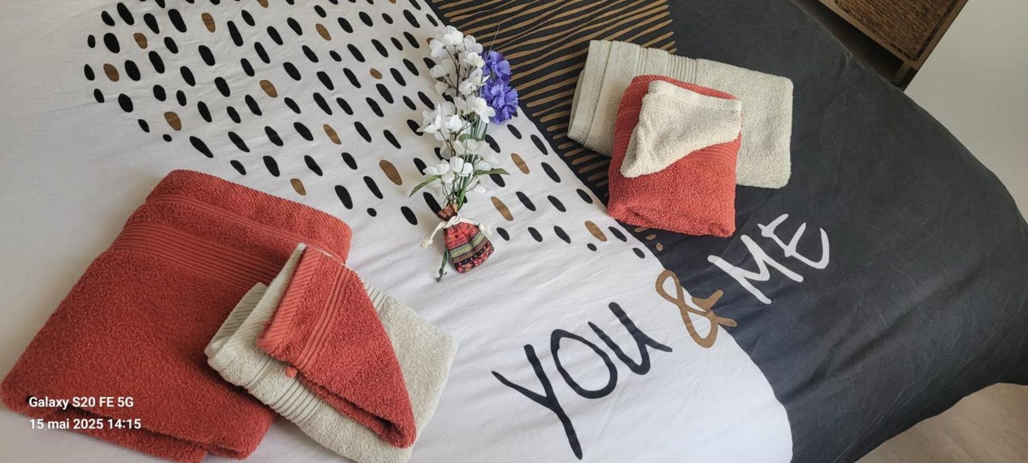 Les Volets Bleus - Refaits à neuf, deux appartements et un studio, Jardin Bourges Extérieur photo