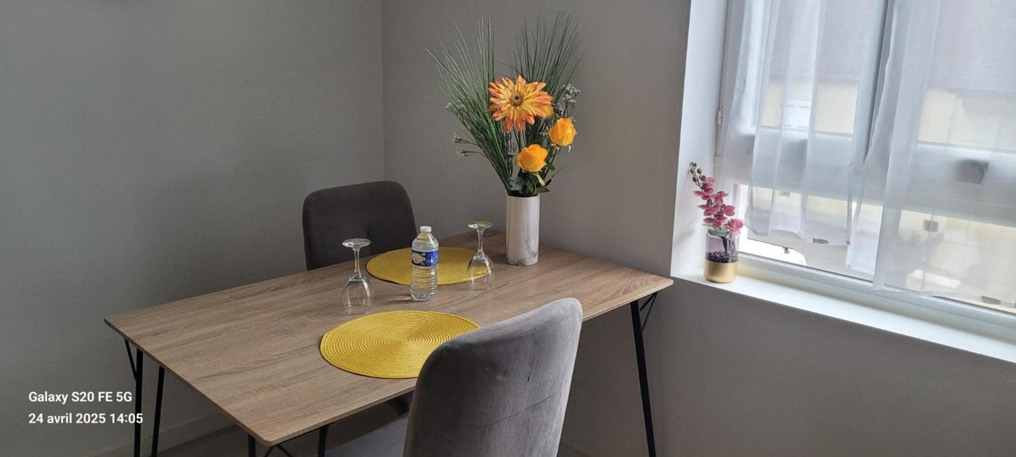Les Volets Bleus - Refaits à neuf, deux appartements et un studio, Jardin Bourges Extérieur photo