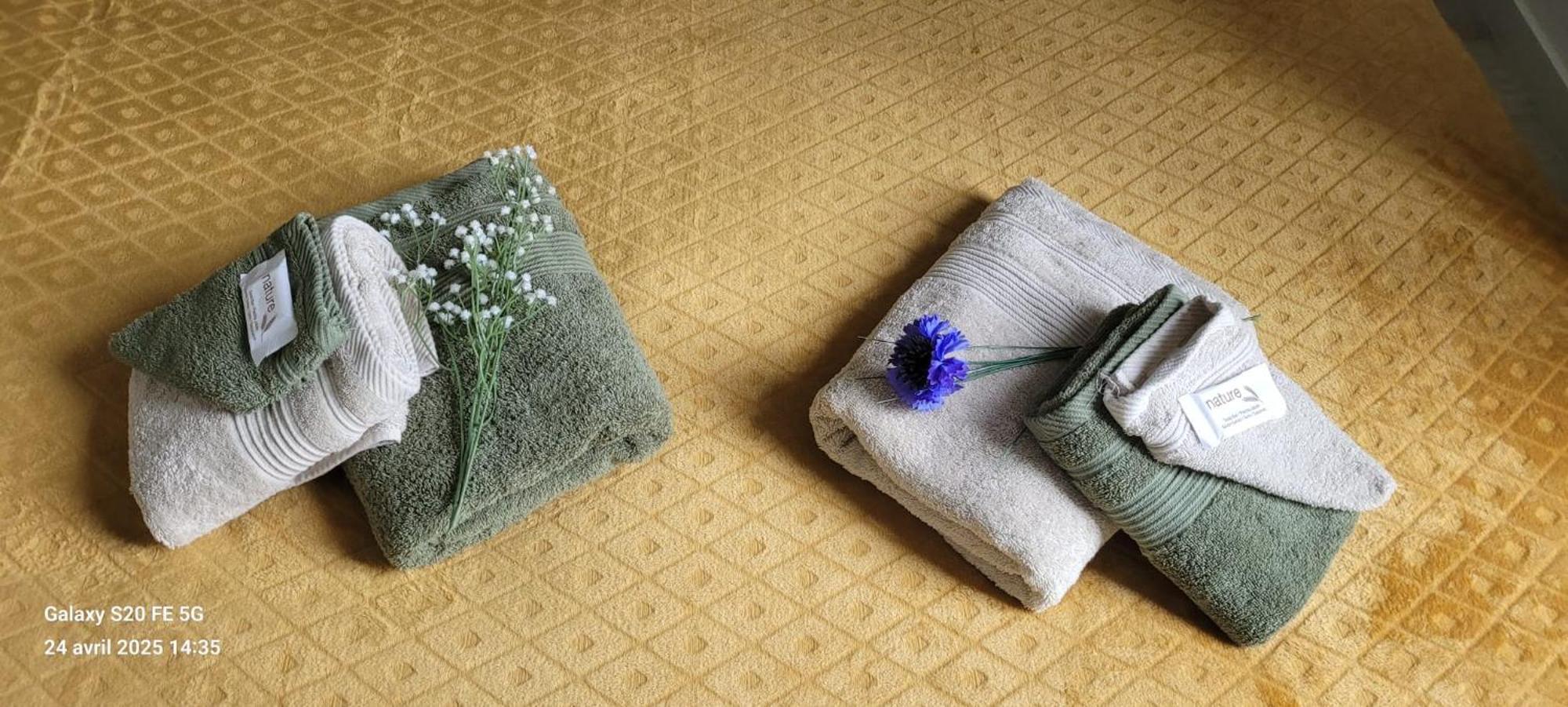 Les Volets Bleus - Refaits à neuf, deux appartements et un studio, Jardin Bourges Extérieur photo